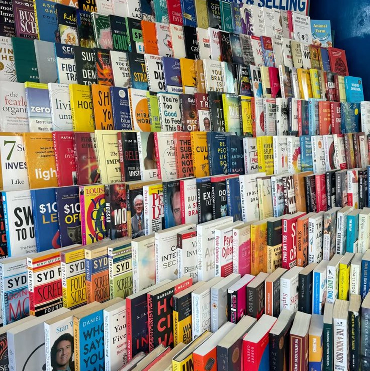 A wall lined with books
