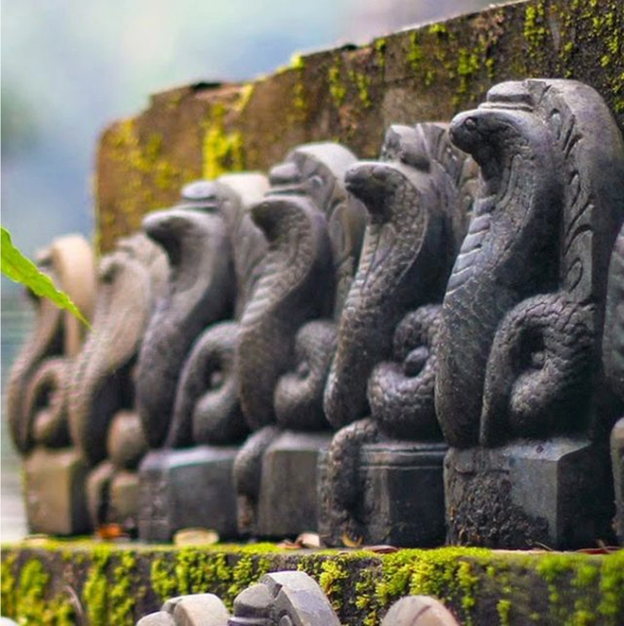 Chennai South India Tour