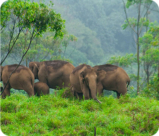 best time to visit Kerala