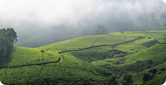 monsoon trip from Chennai to Yercaud