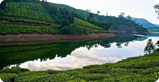 Meghamalai monsoon getaways from Chennai