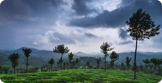 places to visit near Chennai in monsoon
