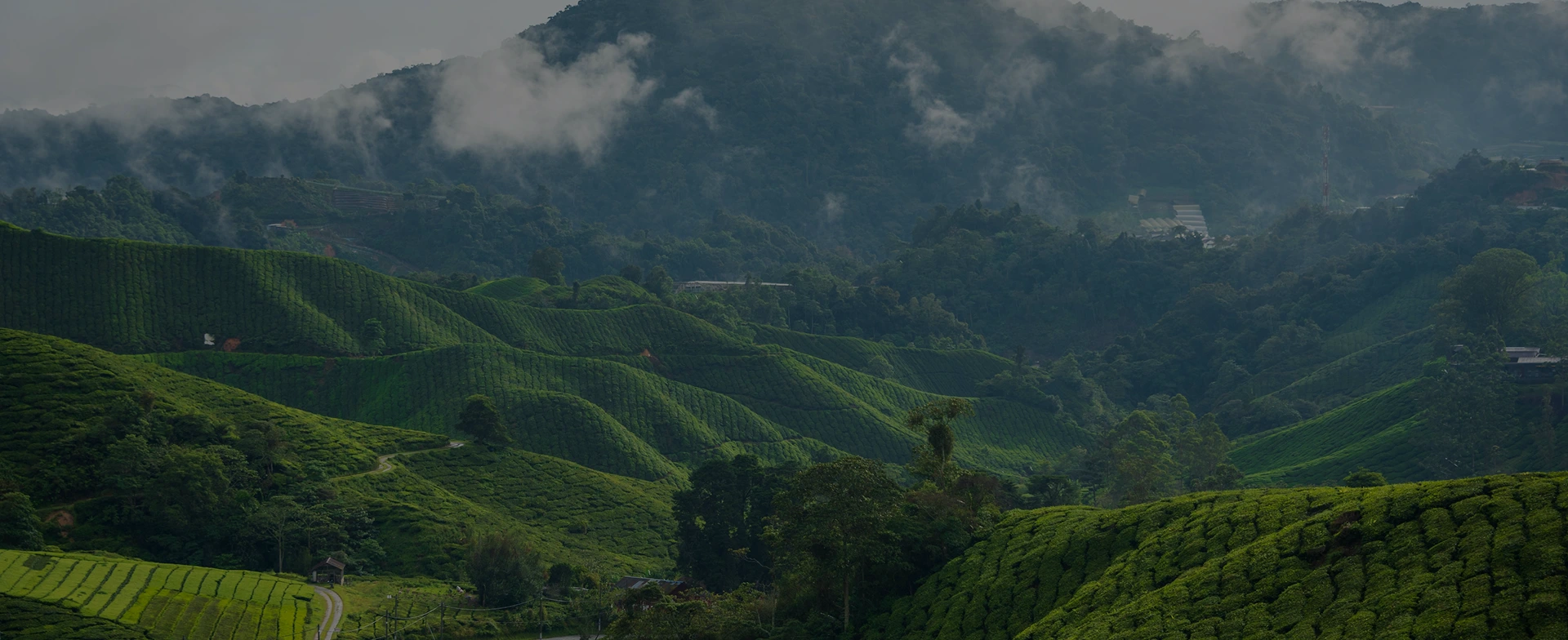 monsoon getaways from Chennai
