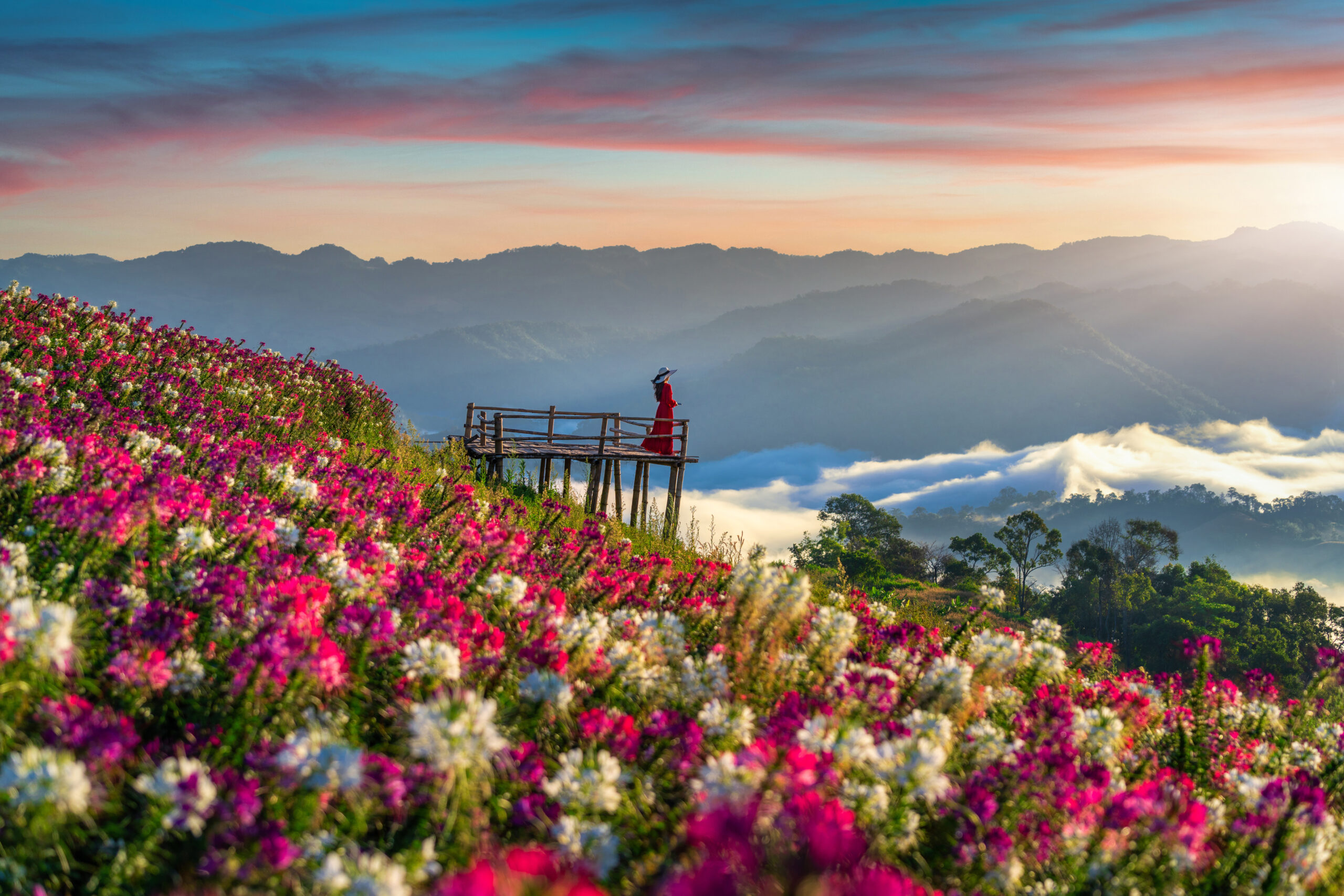 Valley of Flowers tour September
