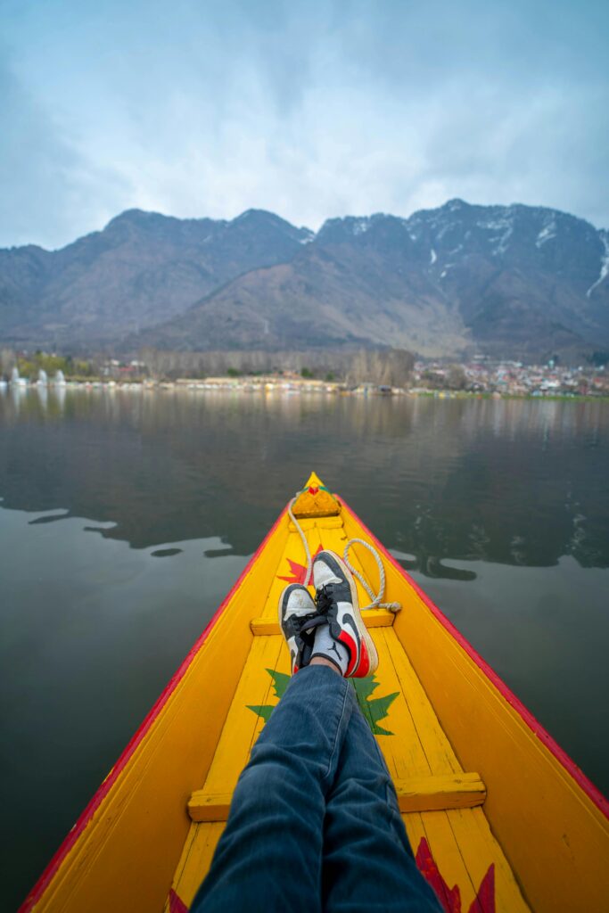 Shikara gliding past Chinar-framed ripples on Dal Lake